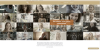 Welkom op onze nieuwe websites Welkom op onze nieuwe websites